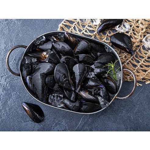 싱싱한 바다자리 생물 홍합으로 식탁을 풍요롭고 건강하게!