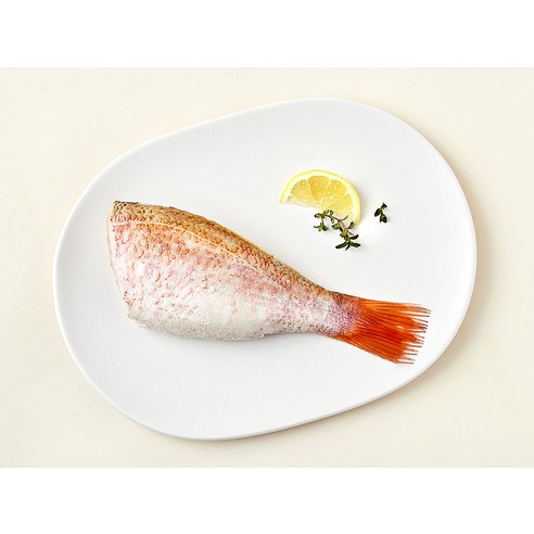 라파랑 금태, 당신의 식탁을 빛낼 특별한 선택