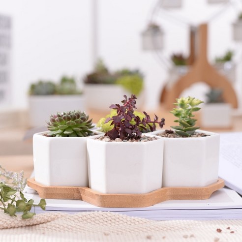 家具  FURNITURES  收納  收納  花盆架  花盆收納  花盆展示架  花盆架  花盆收納架