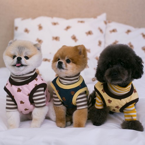 伴侶  寵物產品  小狗  貓  聯合使用  服裝  外衣  狗  狗  狗