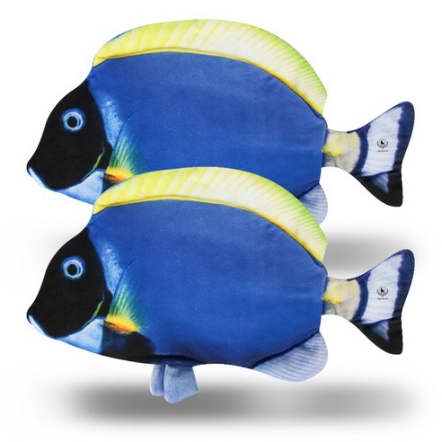 딩동펫 움직이는 파닥 피쉬 고양이 사냥장난감, 블루탱, 2개