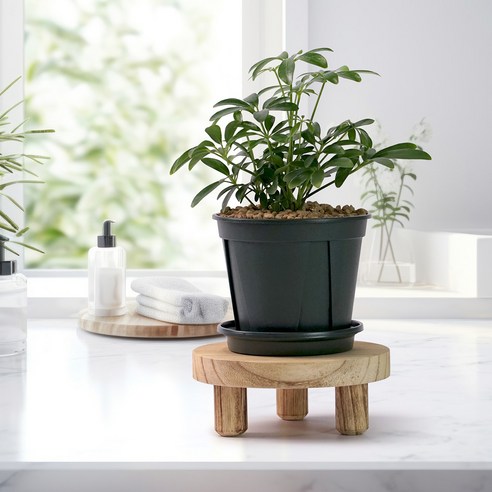 morningscent 원형 스툴 화분 받침대로 공간에 생기를 불어넣으세요.