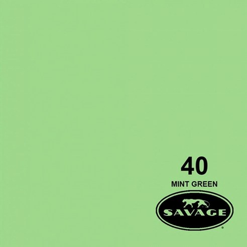 세비지 종이 롤 배경지 HALF, 40-1253(40 Mint Green), 1개