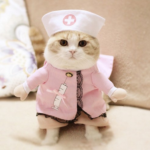 고양이 간호사 코스프레 옷, 혼합색상