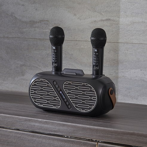 가성비 끝판왕! 듀얼 채널의 마법, 슈틸루스터 무선 듀얼 마이크로 홈 노래방 완성!