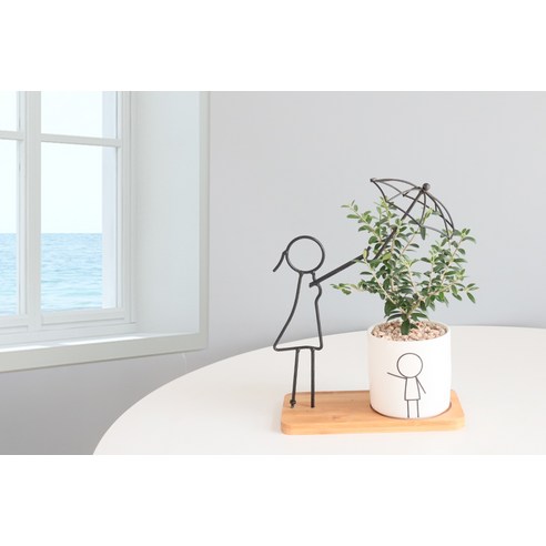 삭막한 일상에 싱그러움을 더하다: 올리브 나무 한 그루가 가져다 준 작은 변화