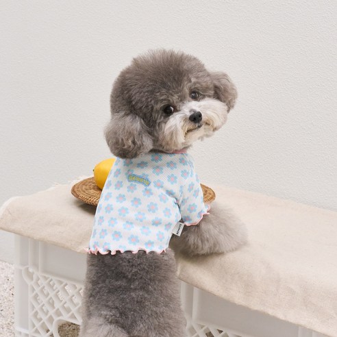 베니즈 강아지 코스모스 크롭 티셔츠, 화이트