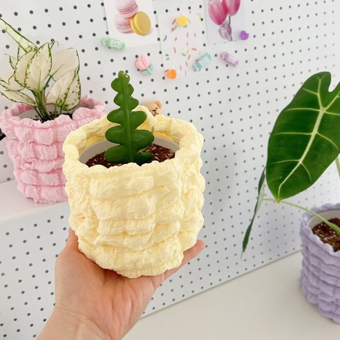 일상에 싱그러운 톡톡 터지는 즐거움을 더하다