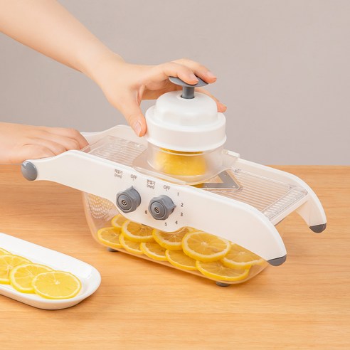 건강한 소화를 위한 완벽한 솔루션