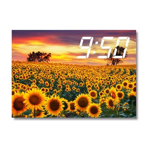 아트캄보 무소음 대형 벽시계 35.3cm KW712, 블랙 벽걸이시계 Best Top5 12 홈마인 캔버스 프린팅 액자 시리즈 LED 시계 해바라기 풍경 A3, 1