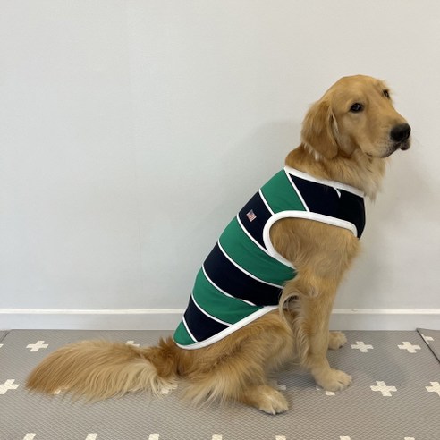 도기스타 강아지 민소매 티셔츠, 초록