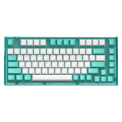앱코 가스켓 마운트 유무선 블루투스 기계식 키보드 갈축 82key, 쿨 민트, AG75W