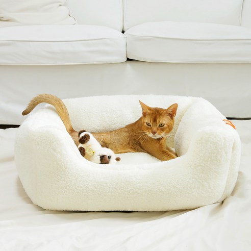 반려동물에게 편안한 휴식을 제공하는 고품질의 침대