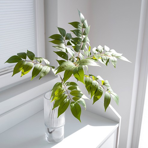 블루밍앤미 아카시아 대형 조화 75cm, 그린, 1개