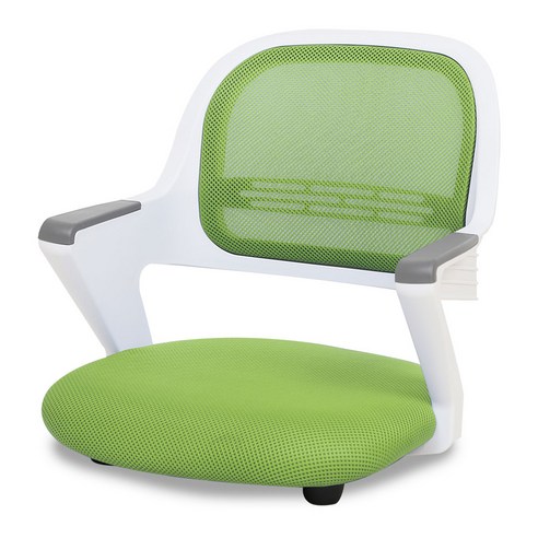 체어포커스 알라딘 좌식의자 AL-D250 WH, 화이트(바디), 메쉬(그린)