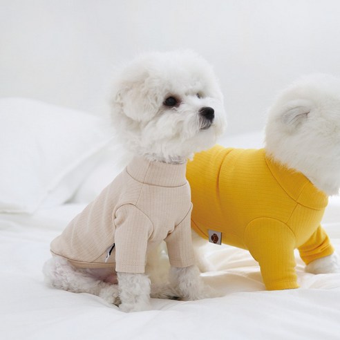 유앤펫 강아지 심플 베이직 컬러 티셔츠, 베이지