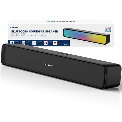 공간을 빛내는 사운드, 블라우풍트 BLP-GM301KWC