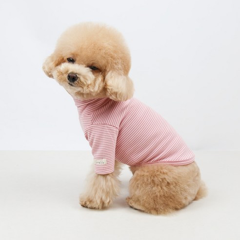 그루밍독 강아지 고양이 데일리룩 줄무늬 목폴라 티셔츠, 핑크, 1개