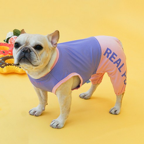 RealPet 강아지 올인원 래쉬가드 수영복, 컬러팝(바이올렛)