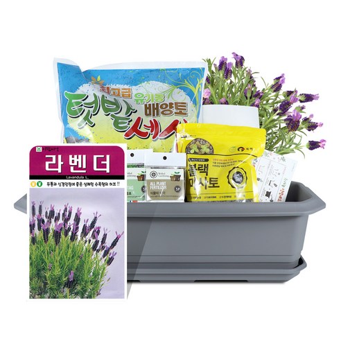 바이오필리아 채소 텃밭세트 + 식물 이름표 랜덤발송, 라벤더 허브