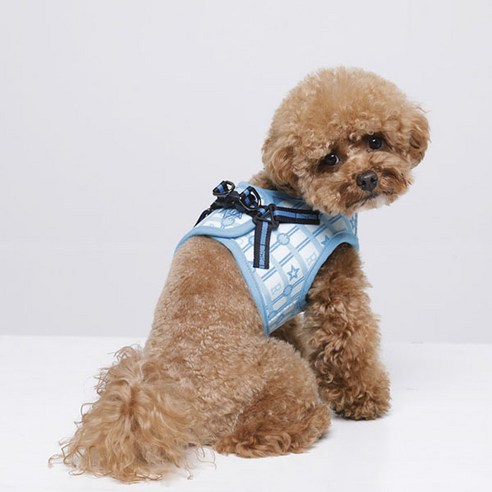 RealPet 강아지 하트 앤 별 조끼 하네스, BLUE