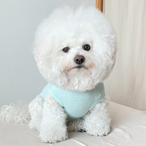 바이담수미 강아지 가지 슬럽 나시, 블루, 1개