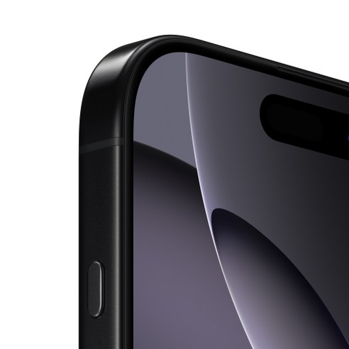 Apple 정품 아이폰 16 Pro 자급제, 블랙 티타늄, 128GB