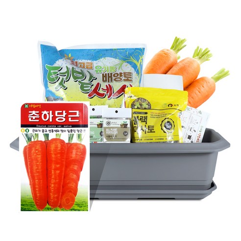 바이오필리아 채소 텃밭세트 + 식물 이름표 랜덤발송, 당근