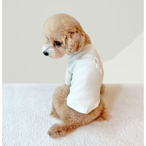 伴侶  寵物產品  小狗  貓  組合使用  服裝  T卹  狗  狗  狗