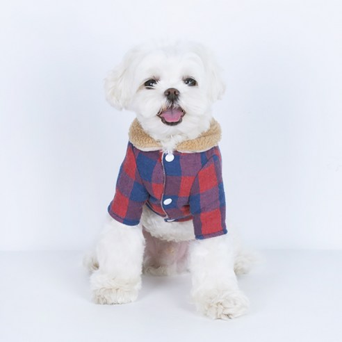 伴侶  寵物產品  小狗  貓  聯合使用  服裝  外衣  狗  狗  狗