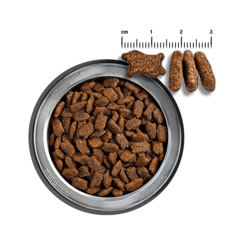 섬세한 반려견을 위한 최고의 선택, 벨칸도 마스터크래프트 연어