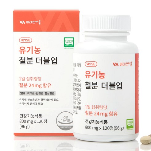 비타민마을 철분 더블업 미니 정제형 철분제, 120정, 96g, 1개