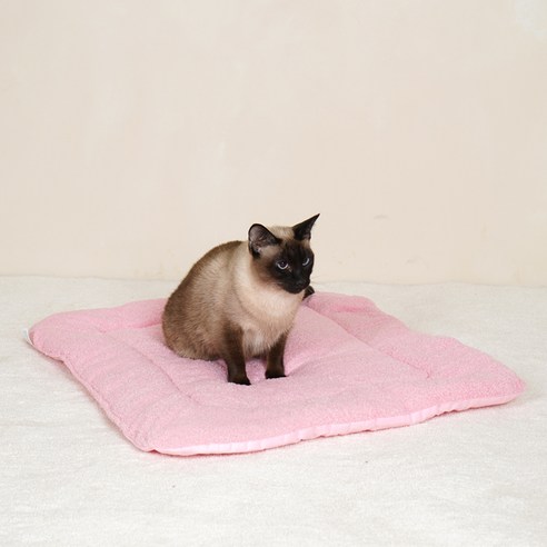 개과천선 고양이 캔버스 쿠션, 핑크, 1개