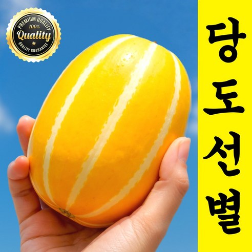 [당도선별] 꿀뚝뚝 초고당도Brix 명품 성주참외, 1세트, 5kg