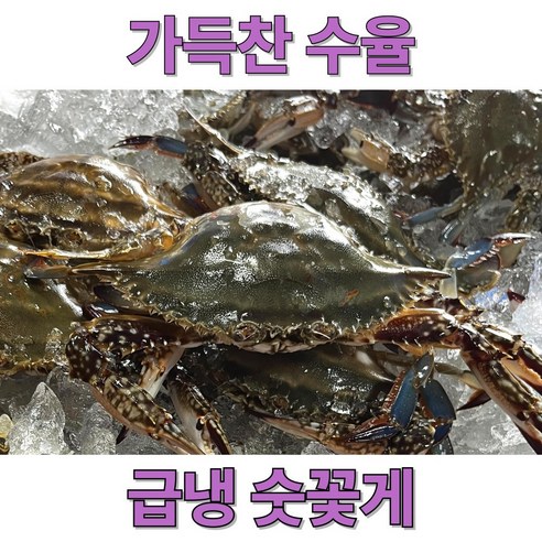 수율가득한 국내산 제철 꽃게, 1박스, 숫꽃게 급냉 3kg