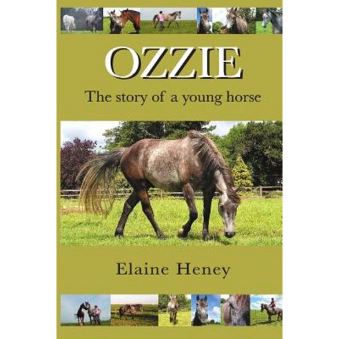 Ozzie - The Story of a Young Horse Paperback, Createspace Independent Pub..., English, 9781505337549
