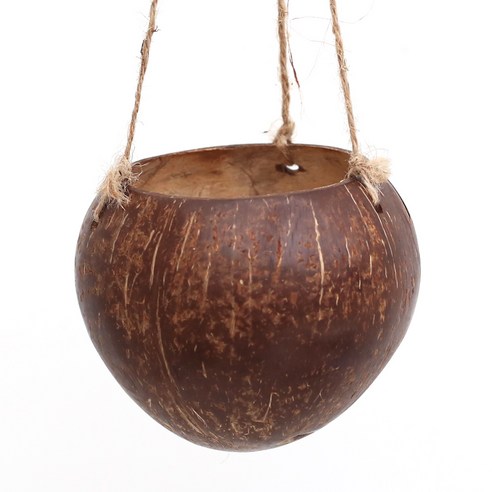 園藝 園藝 用品 園藝 花盆 園藝 花盆 花盆 花盆