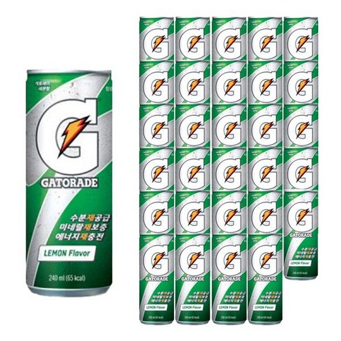 제트스카이 롯데칠성음료 게토레이, 240ml, 30개