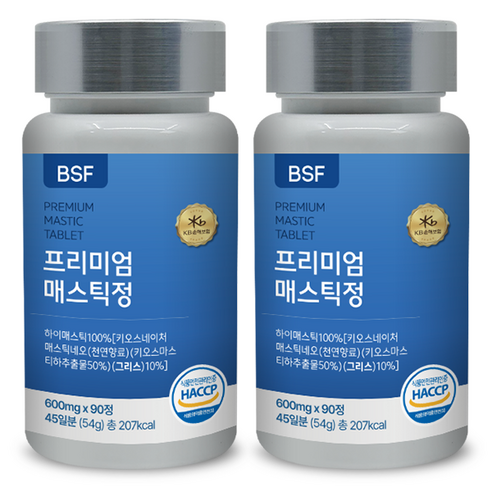 BSF 프리미엄 매스틱정 600mg x 90정, 2개, 54g