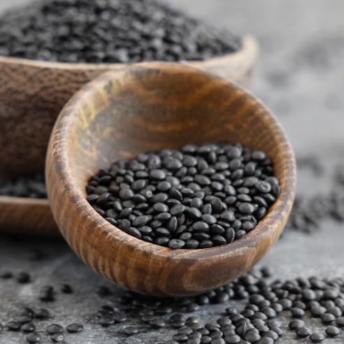 현대농산 검정 렌틸콩 4kg (2kgx2봉) 블랙 렌즈콩, 1개, 4kg(2kgx2)