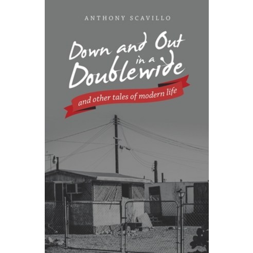 (영문도서) Down and out in a Doublewide and Other Tales of Modern Life Paperback, iUniverse, English, 9781663246196