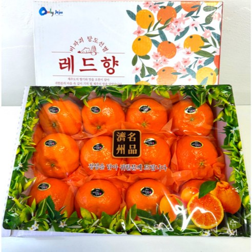 당도선별 고당도 레드향(선물용), 3kg, 1개