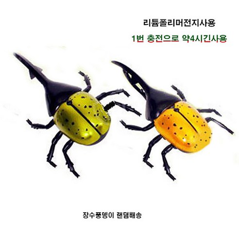 토키즈 장수풍뎅이 RC완구 랜덤배송 비틀RC 곤충무선조정