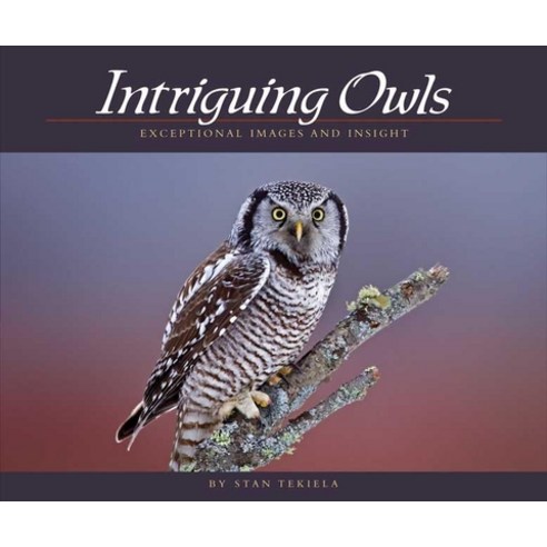 Intriguing Owls: Exceptional Images and Insight, Adventure Pubns
