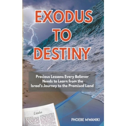 (영문도서) Exodus to Destiny Paperback, Phoebe Mwaniki, English, 9798215187869