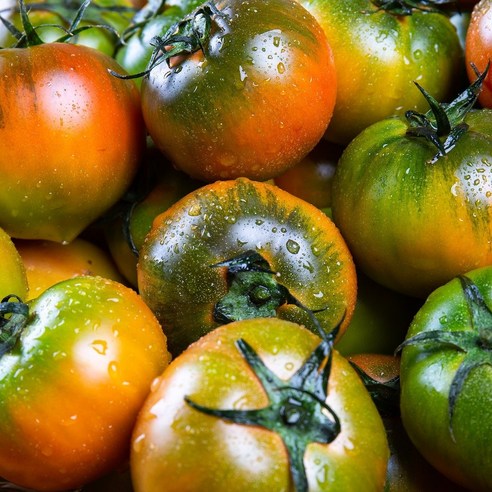 프리미엄 고당도 대저 짭짤이 토마토 2.5kg S사이즈 특품 당일수확, 대저 짭짤이토마토 S사이즈 당도보장