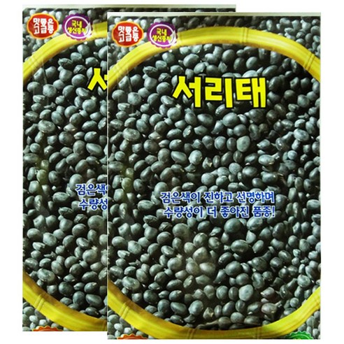 세인화분 서리태 콩 30g - 국산 콩씨 콩씨앗, 2개