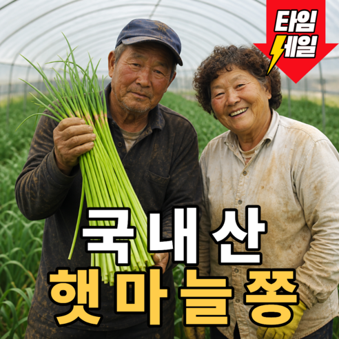 [노마진특가] 우리땅에서 수확한 국내산 햇마늘쫑