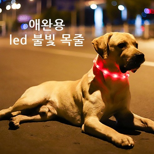 윈티크 애완용 사고 예방 LED 불빛 목줄, 핑크, 1개