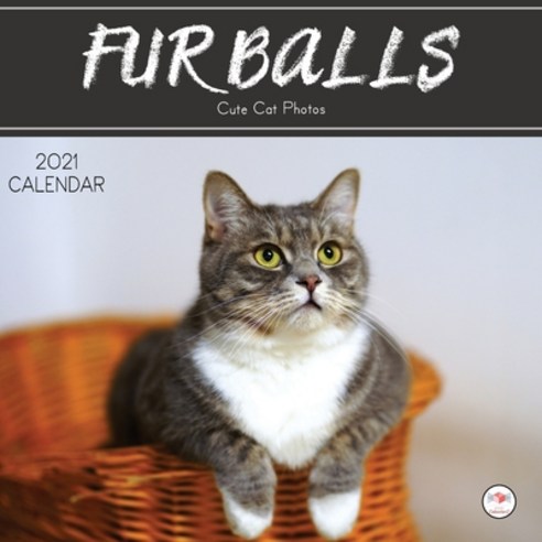 2021 Cat Calendar: Cute Cat Photos Theme Mini 8.5 x 8.5 12 Month Calendar Planner For Home Office or... Paperback, Independently Published, English, 9798708614568